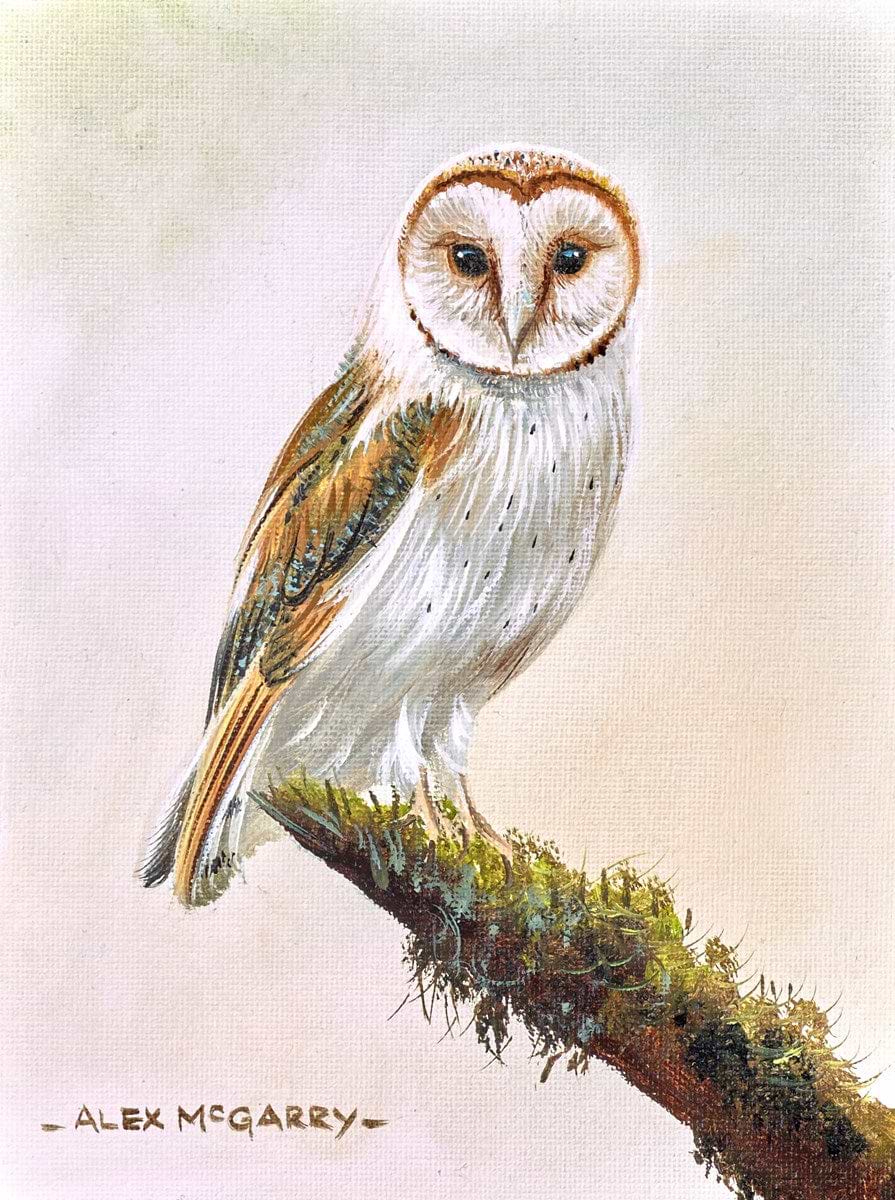 Ready to Fly III