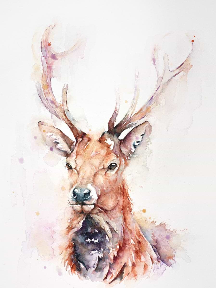 Calm Majesty - Red Stag