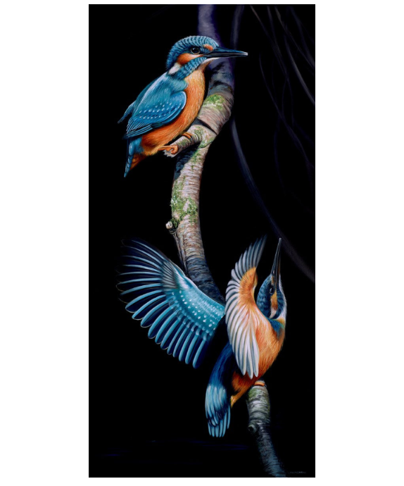 Kingfisher Flight