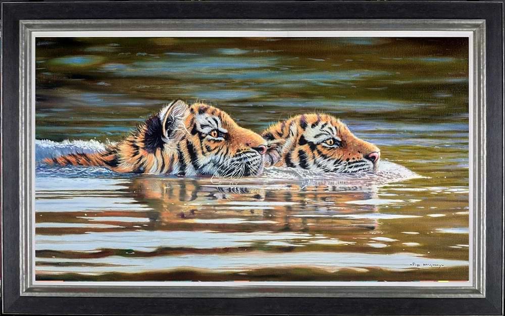 Tiger Cubs Swimming (Framed)