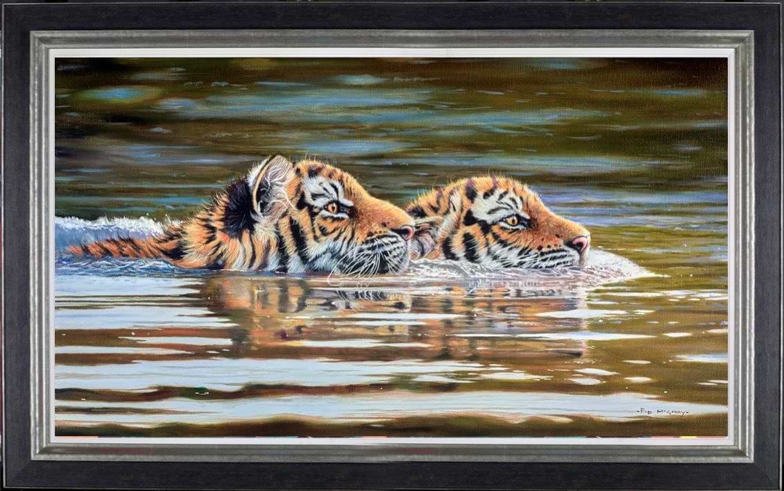 Tiger Cubs Swimming (Framed)