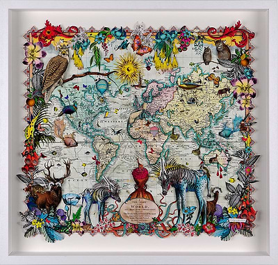 Navigators Hybrid 3D - Zebra Discoveries of the world (large)