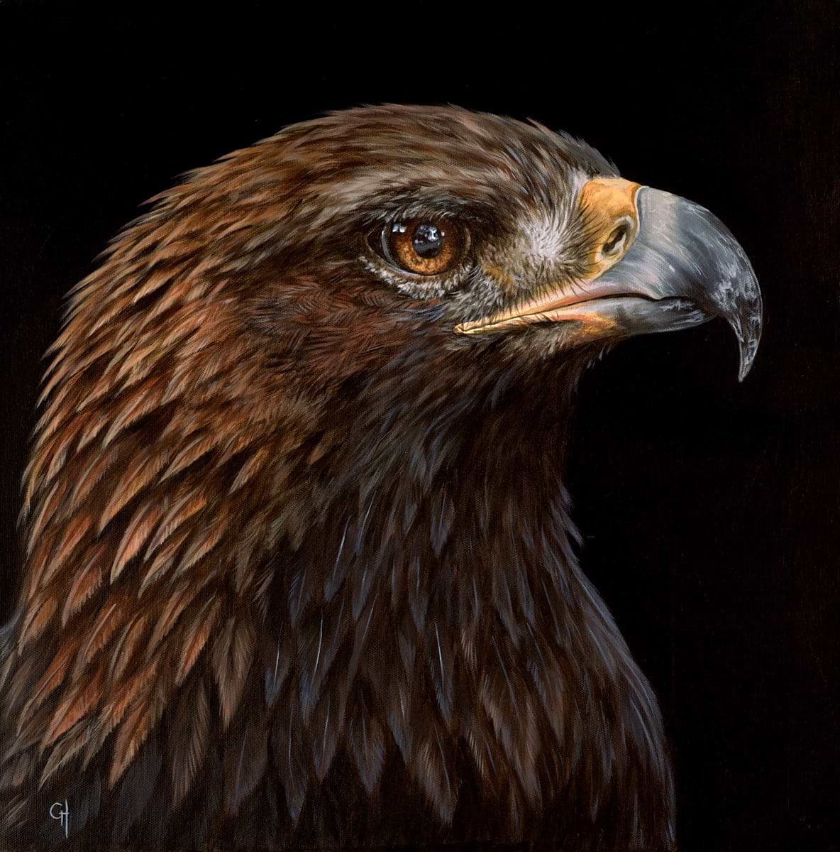 Eagle's Stare