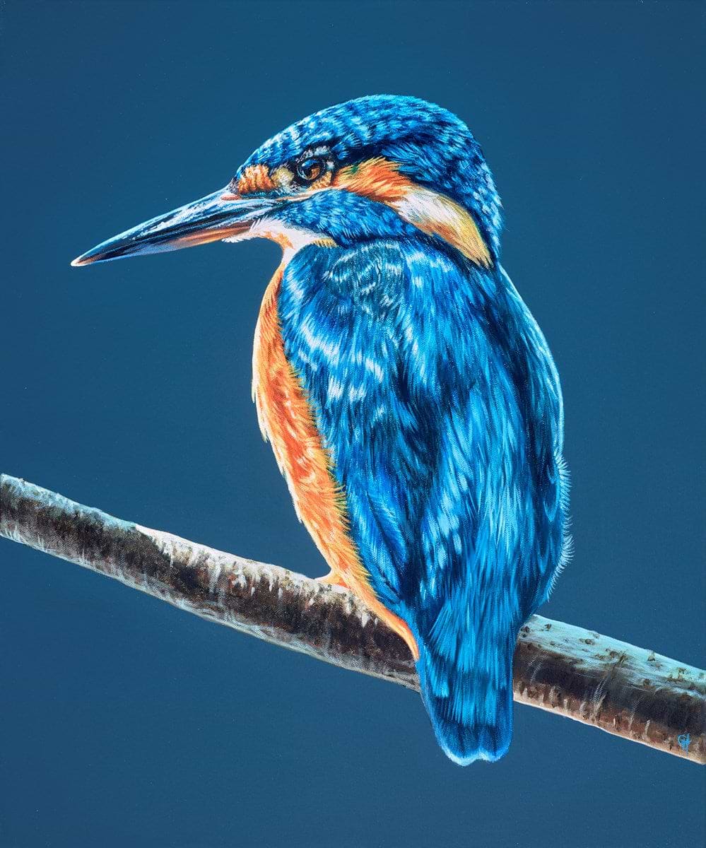 Kingfisher II