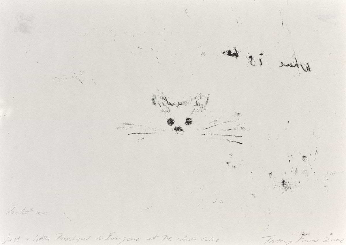 Docket the Cat (Monotype) (Detail1)