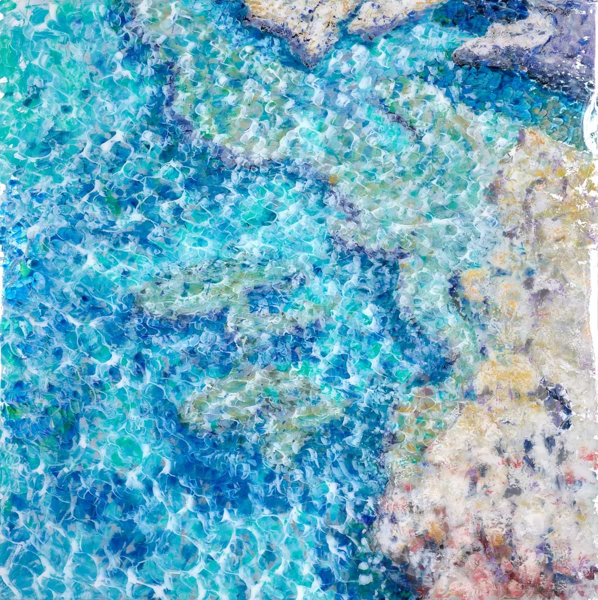 Rocky Coves