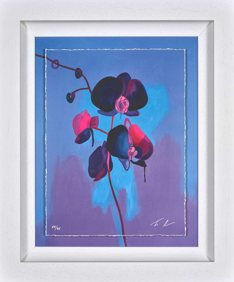 Eclipse (Framed)