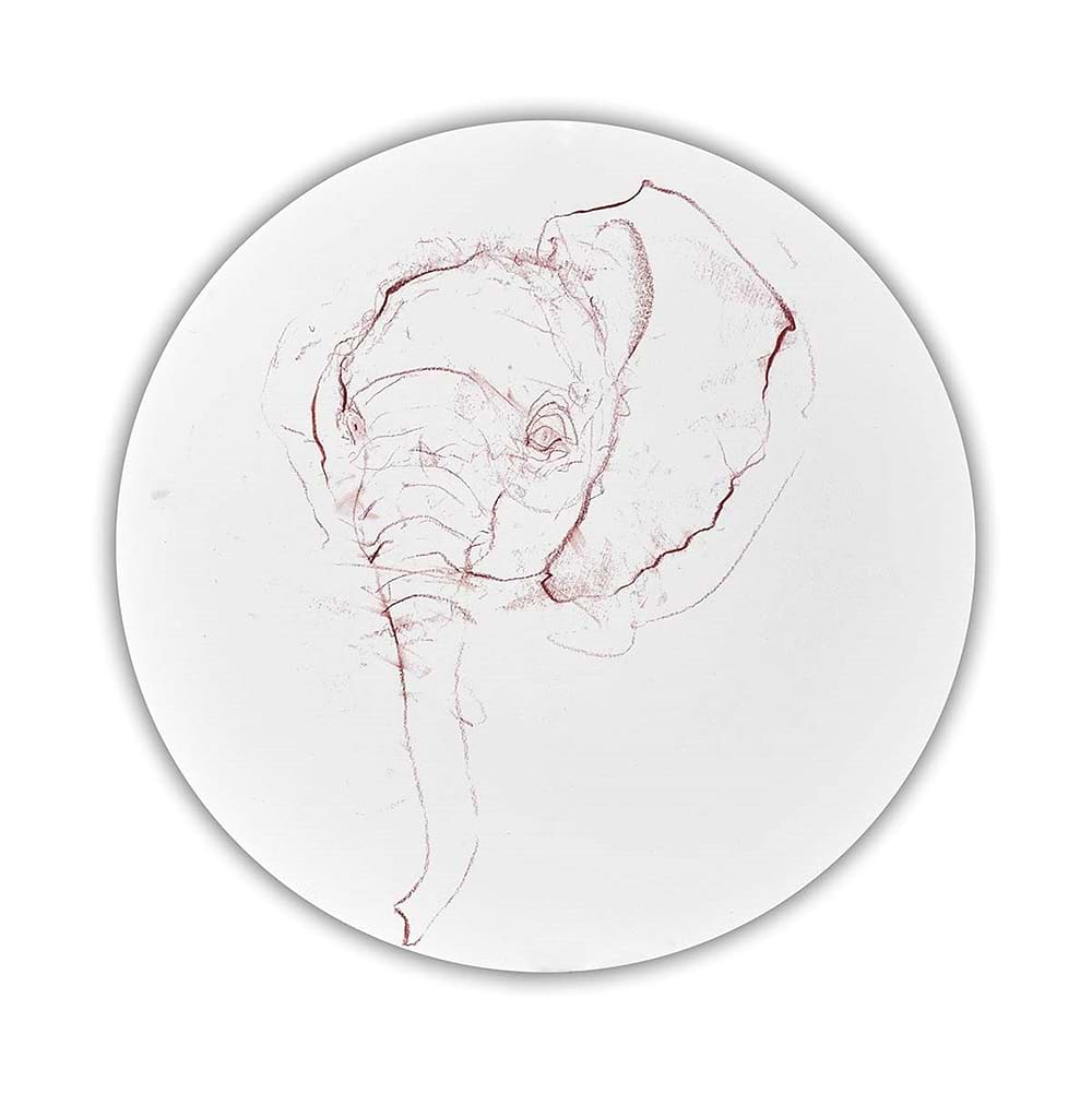 Elephant Study II