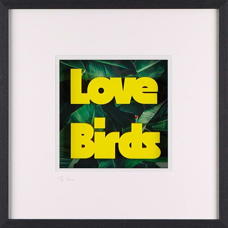 Love Birds