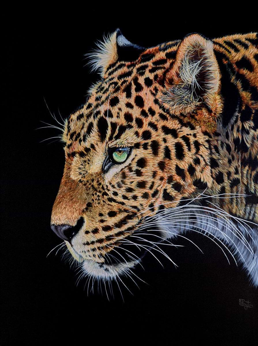 Leopard