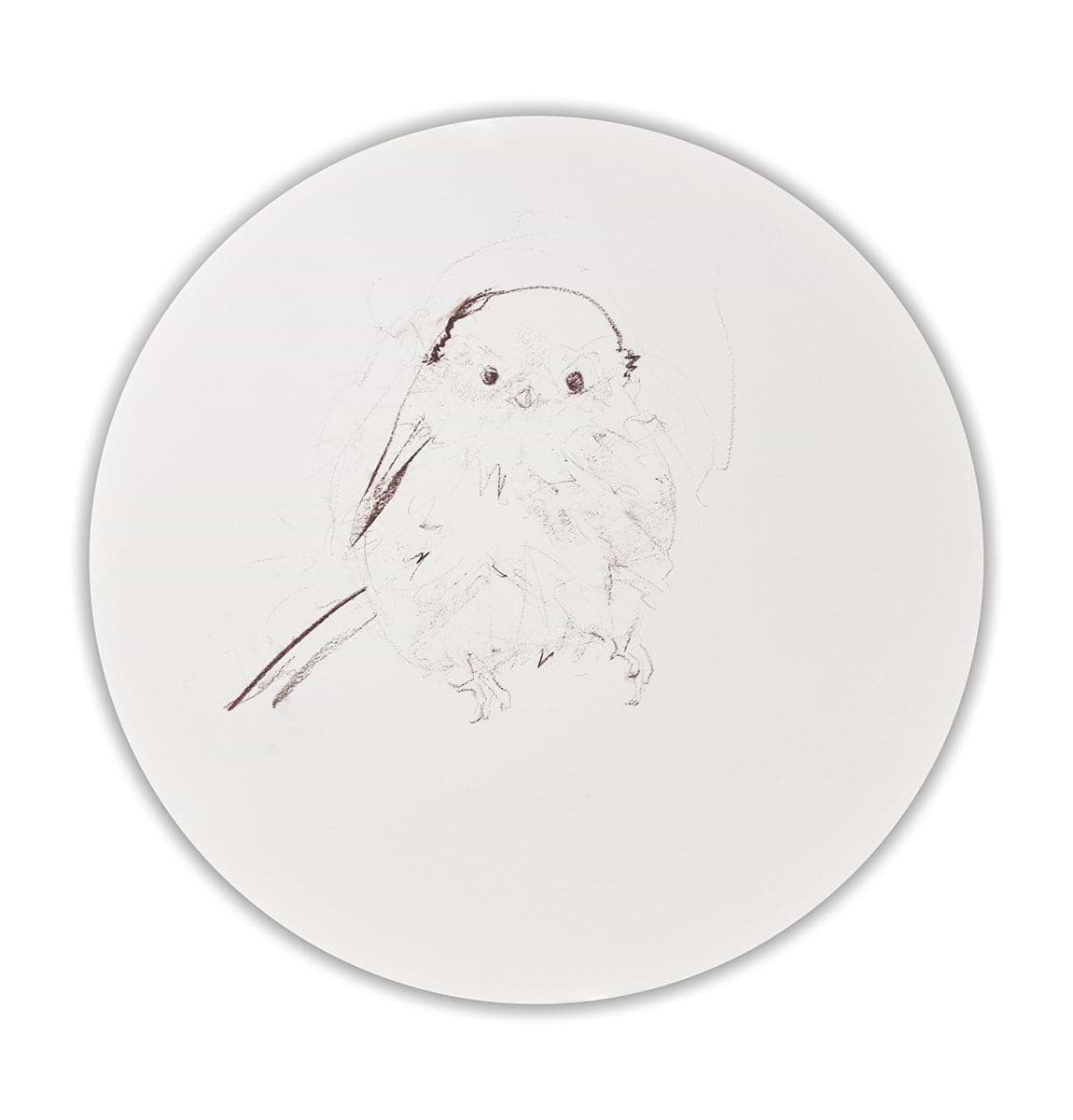 Long Tailed Tit Sketch IV