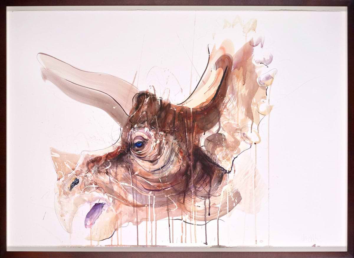 Triceratops