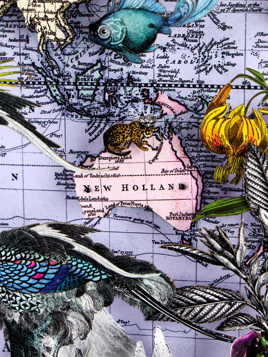 Navigators Floating Map - Ostrich Discoveries of the world (Detail2)