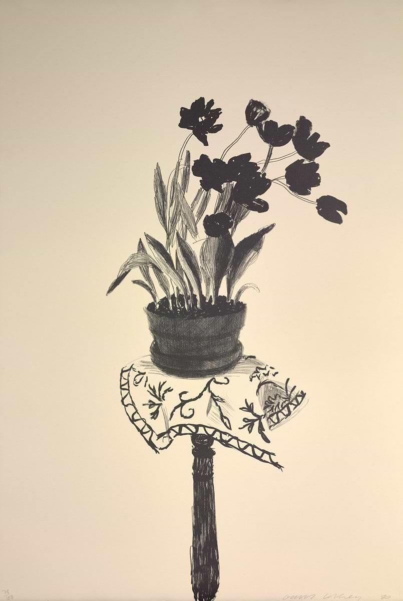 Black Tulips