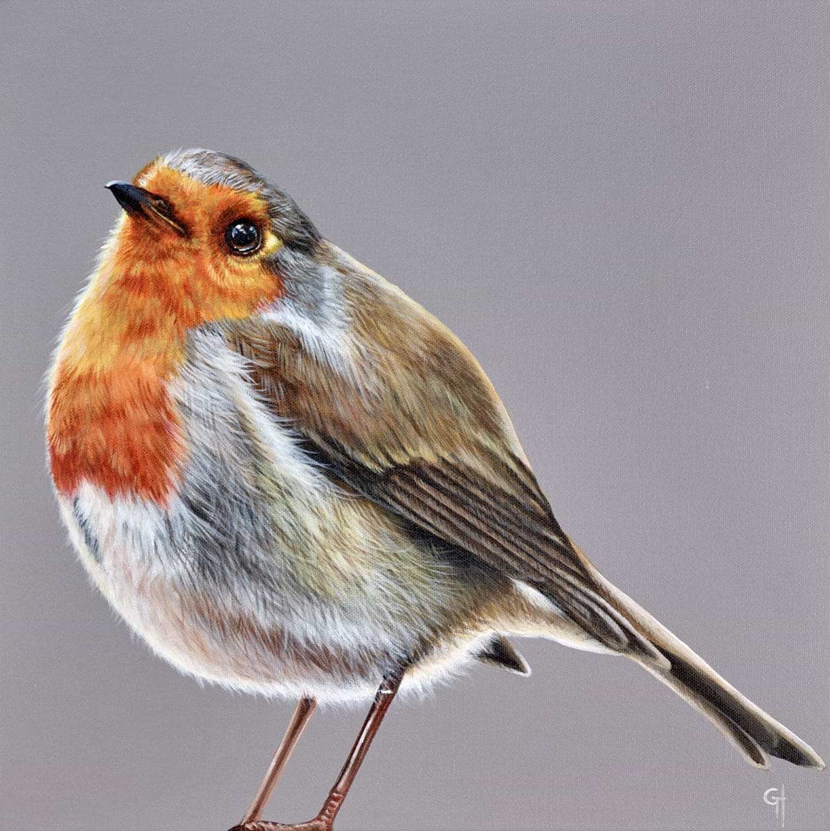 Robin