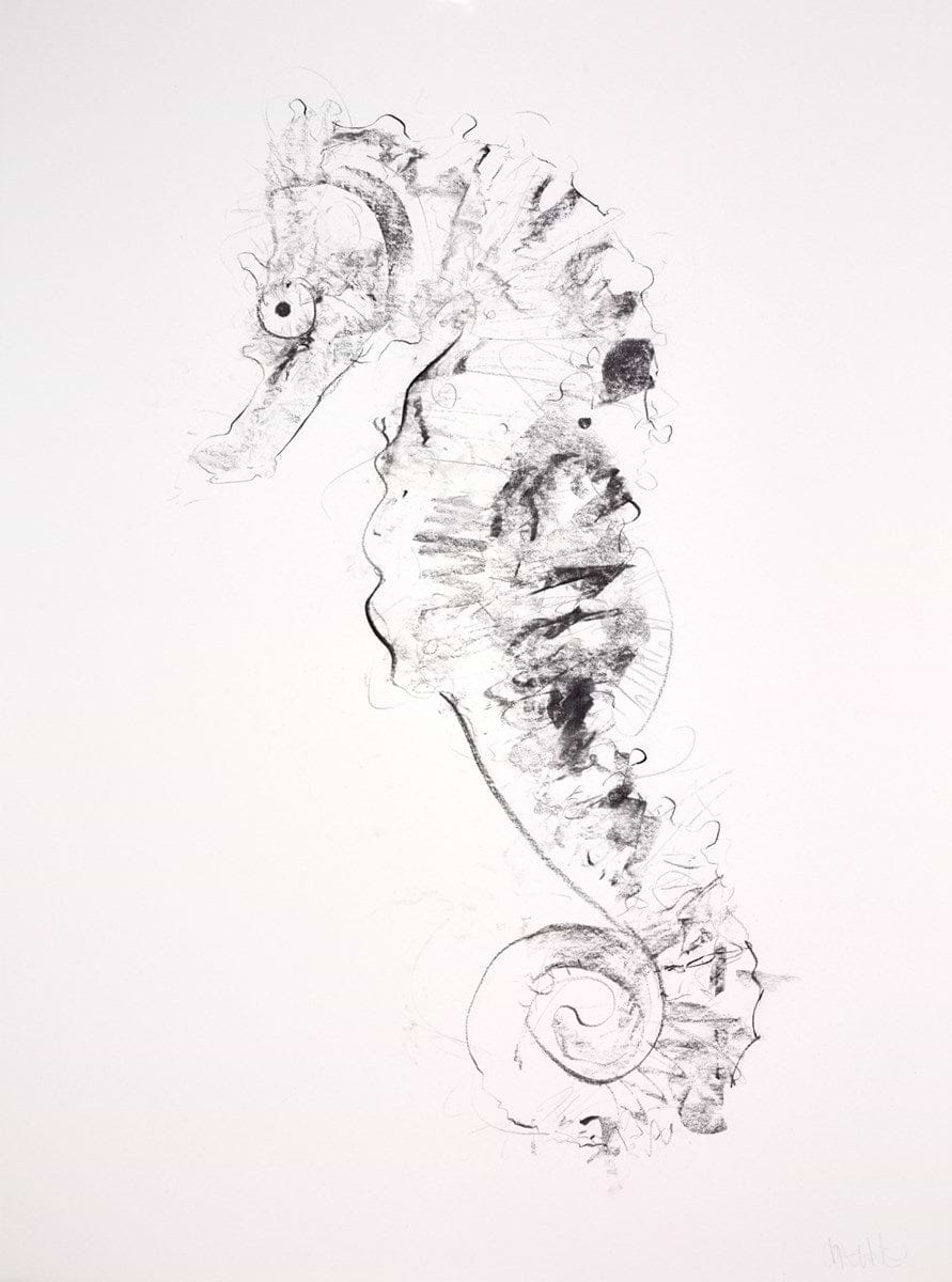 Seahorse
