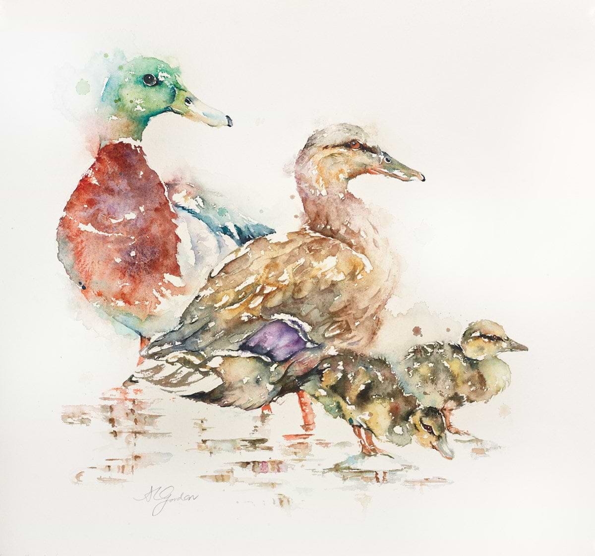 Paddling- Family of Mallards