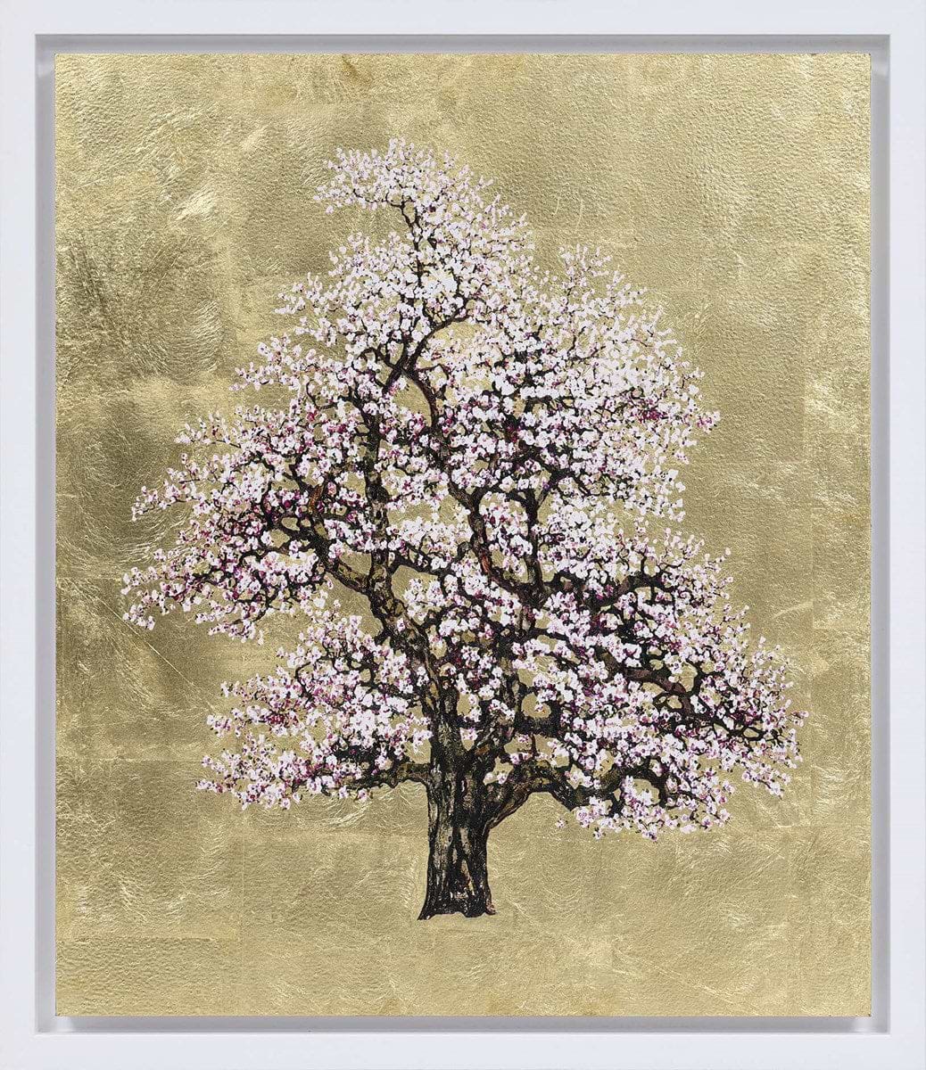 Gilded Blossom | Jack Frame – Clarendon Fine Art