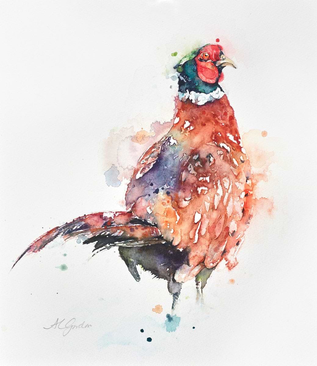 Handsome Gentleman Pheasant
