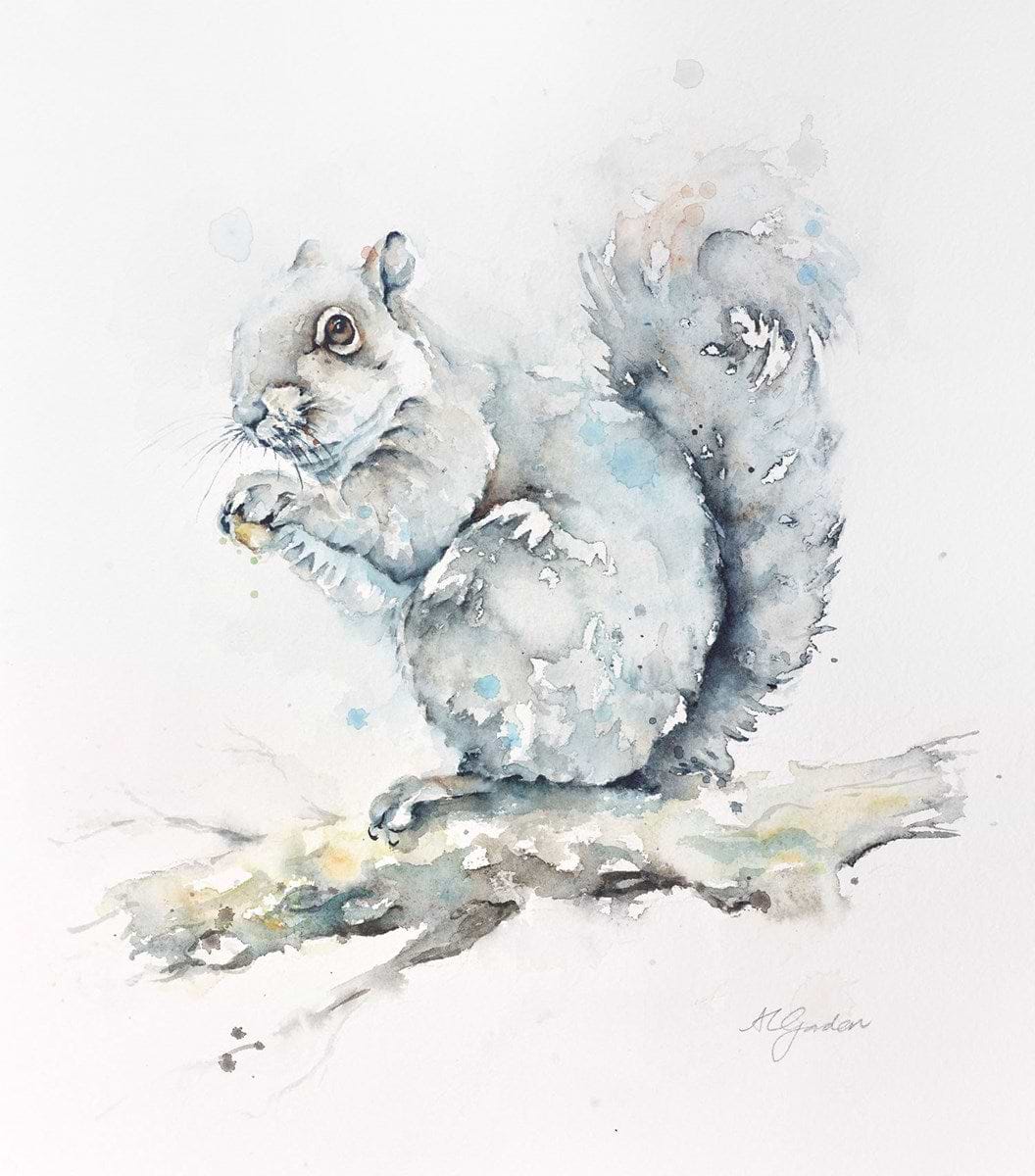 Feeding Grey Squirrel