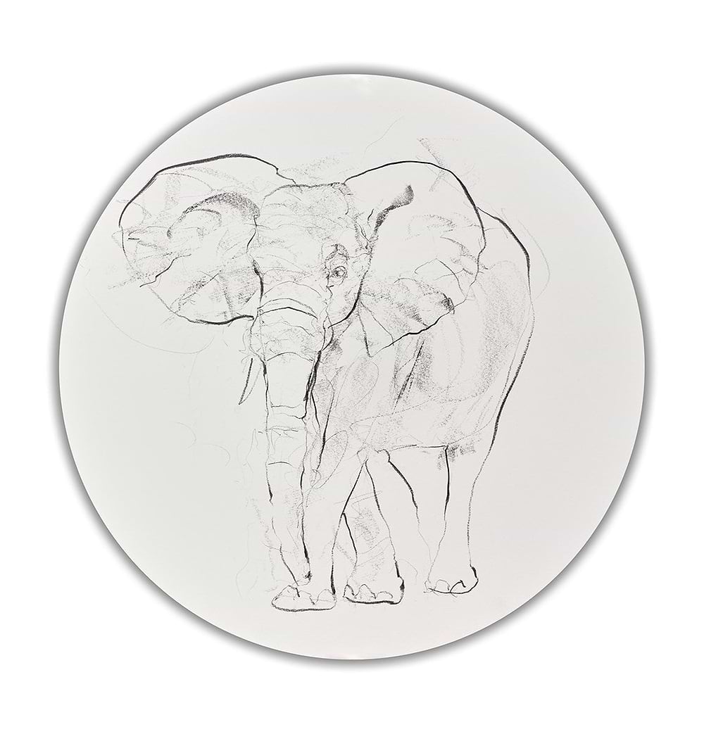 Elephant Study XXVIII