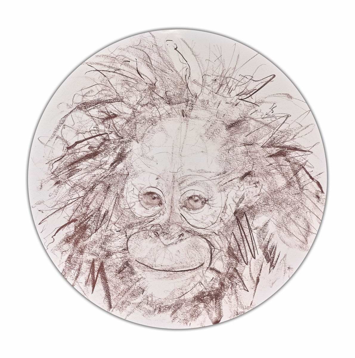 Baby Orangutan Study VI