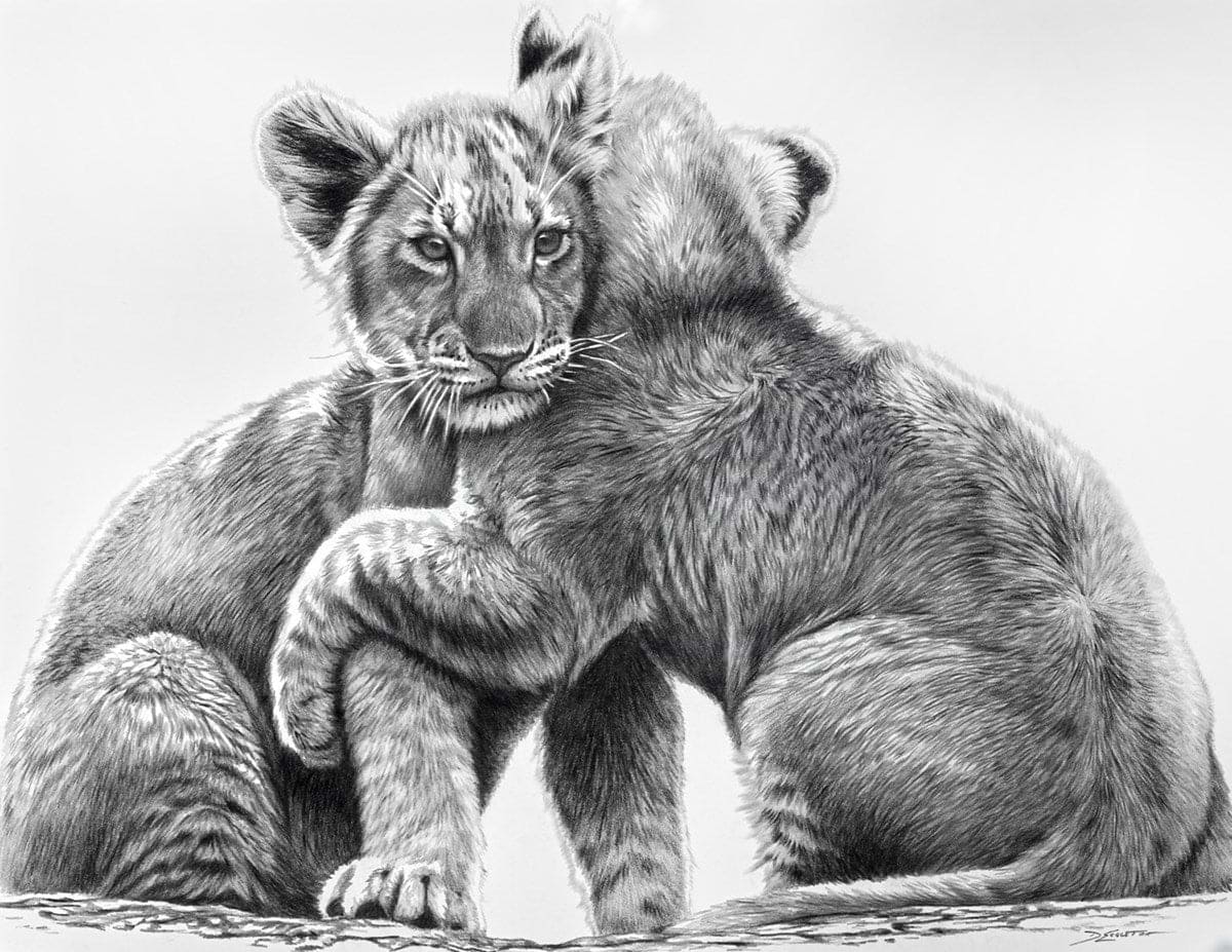 Lion Cubs