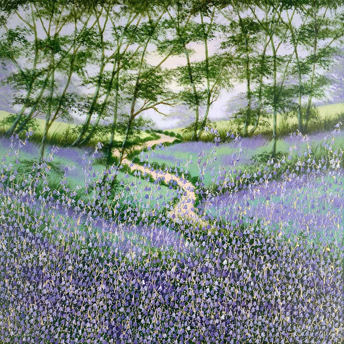 Bluebells and Woodland V