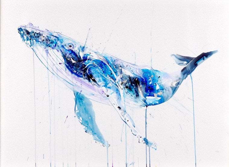 Humpback Whale Deluxe