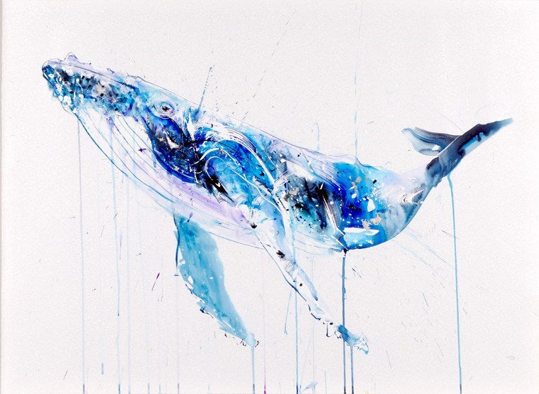 Humpback Whale Deluxe