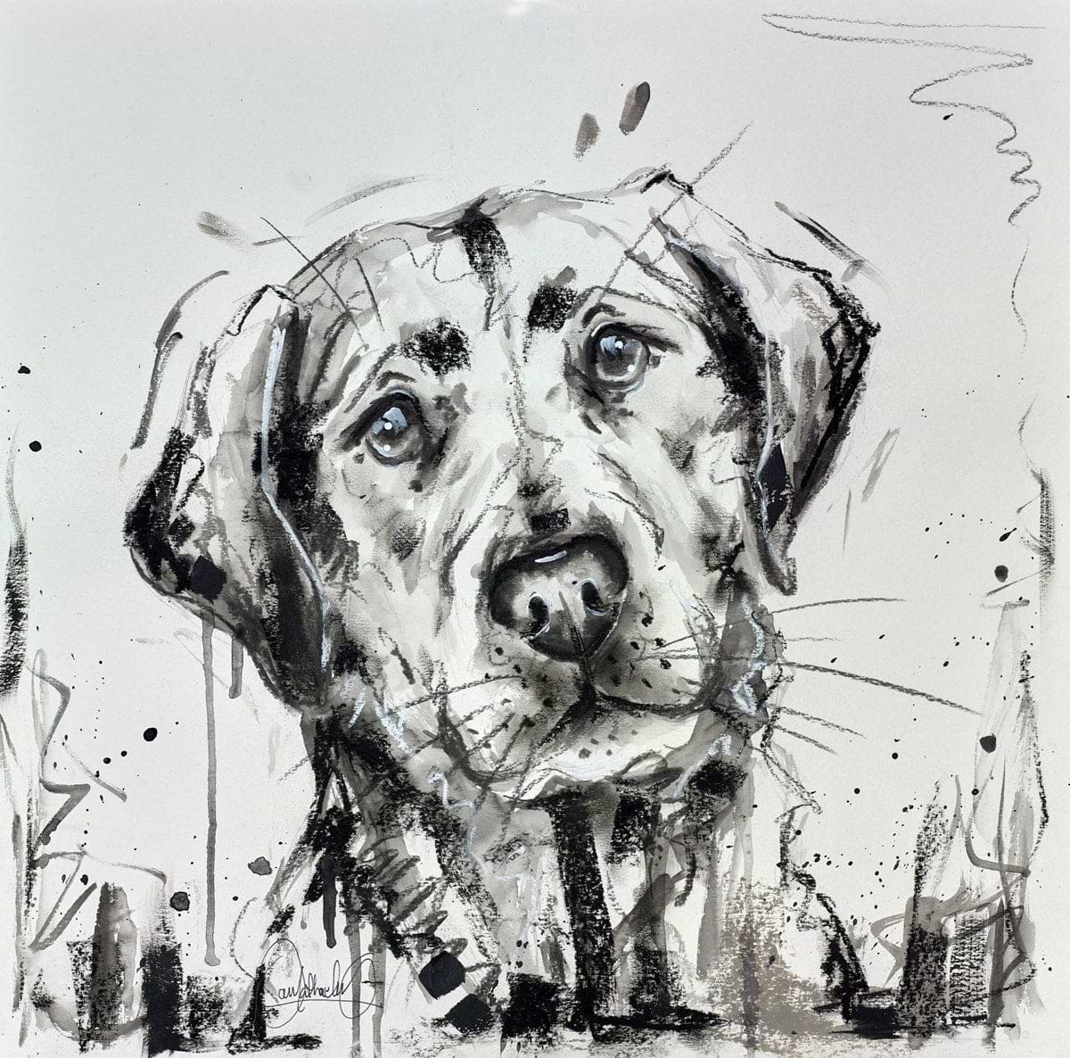 Labrador Blues
