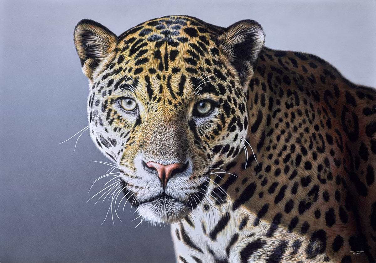 Leopard II
