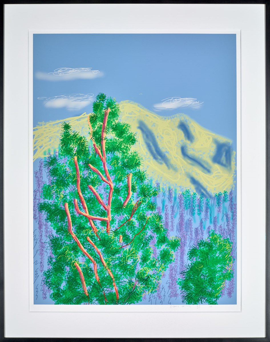 Untitled No.9 from The Yosemite Suite