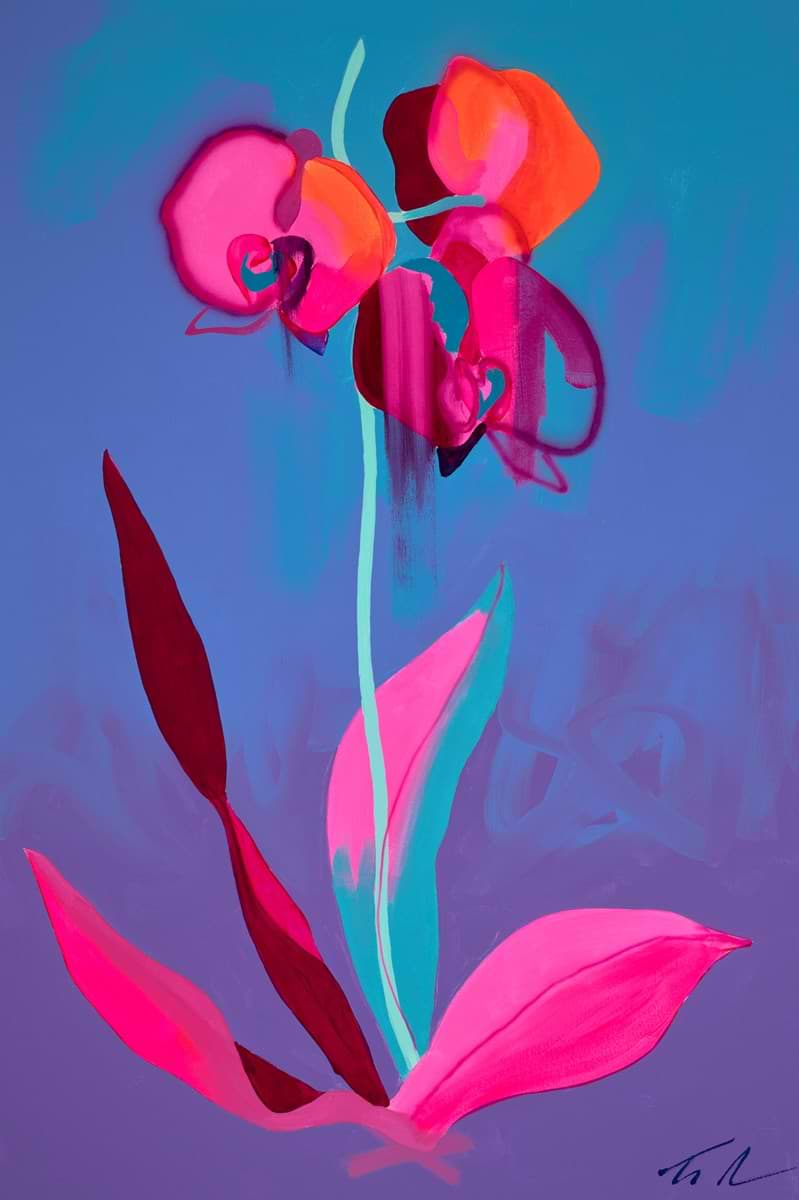 Purple Orchid