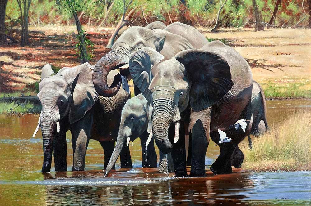 Somewhere in Africa