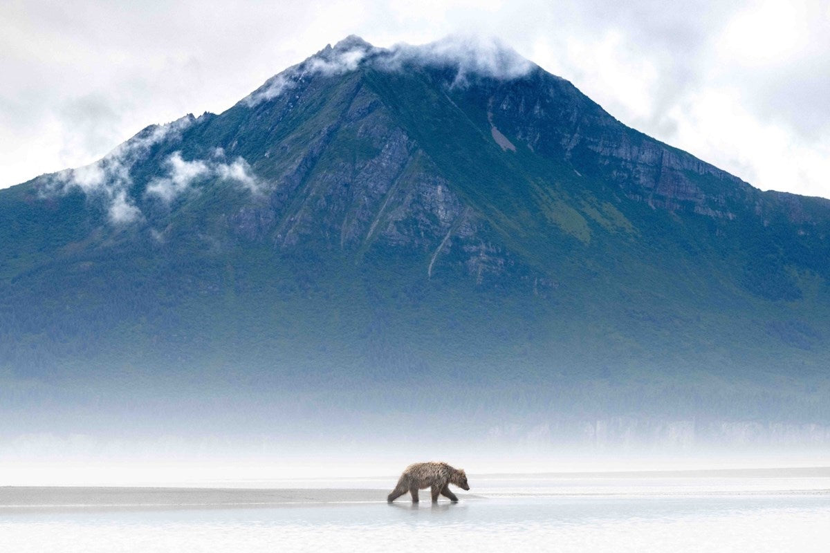Mists of Time
