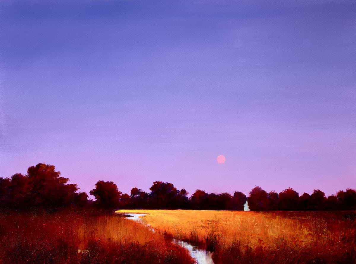 Whispers of Evening Sun