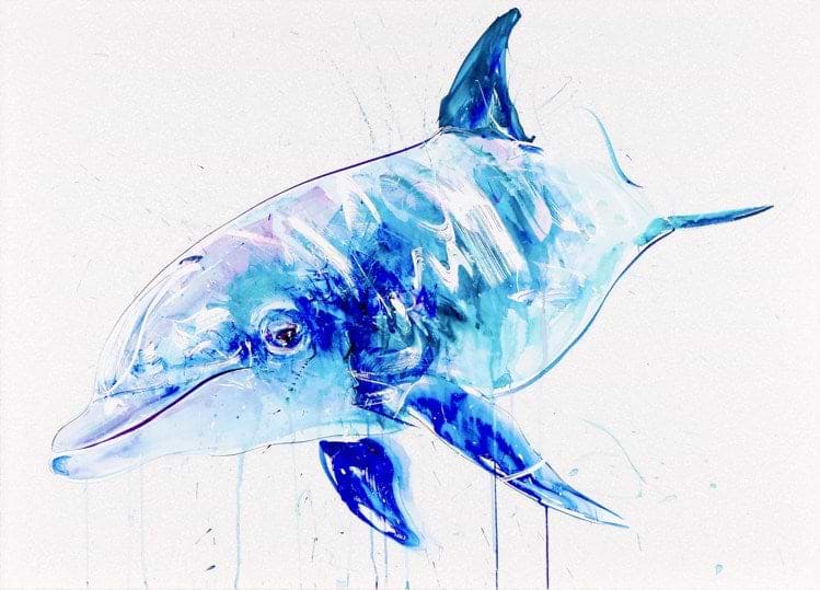 Dolphin