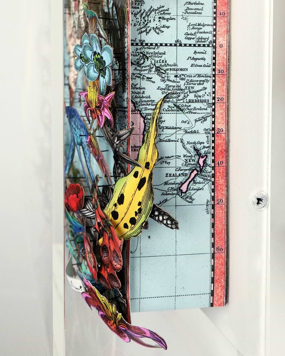 Navigators Floating Map - Giraffe Discoveries of the world (Detail1)