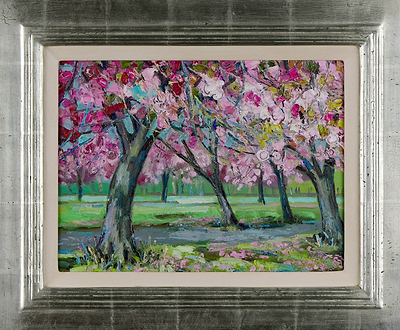 Under the Cherry Trees