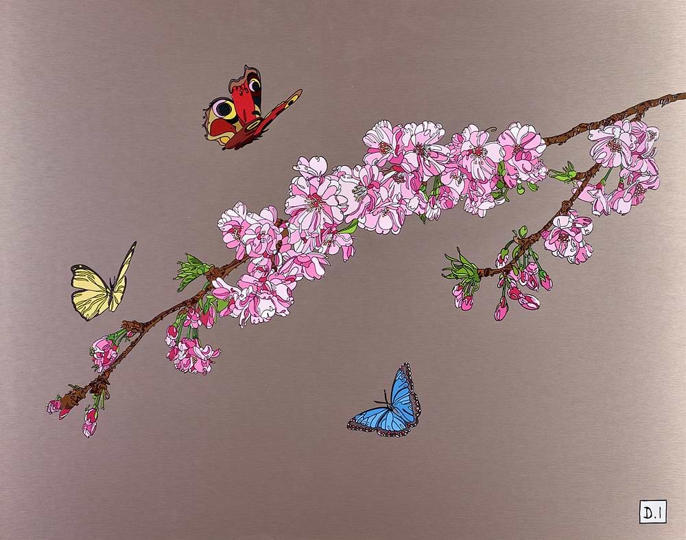 Blossoms and Butterflies