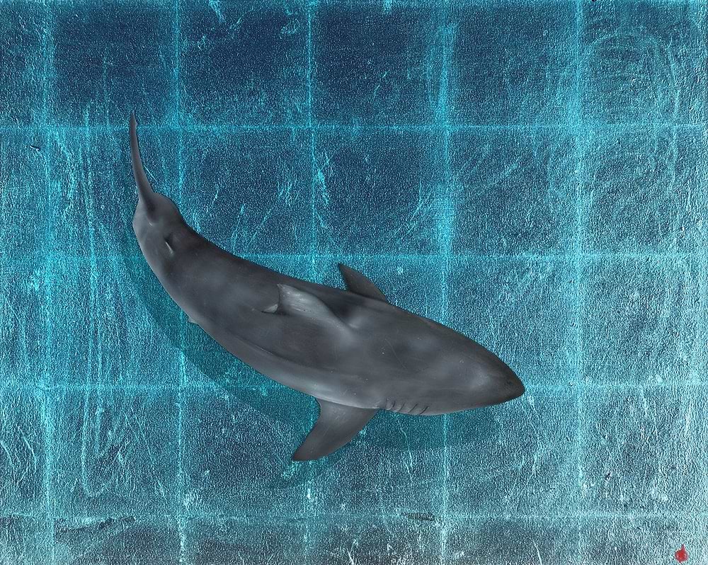 Shallow Patrol