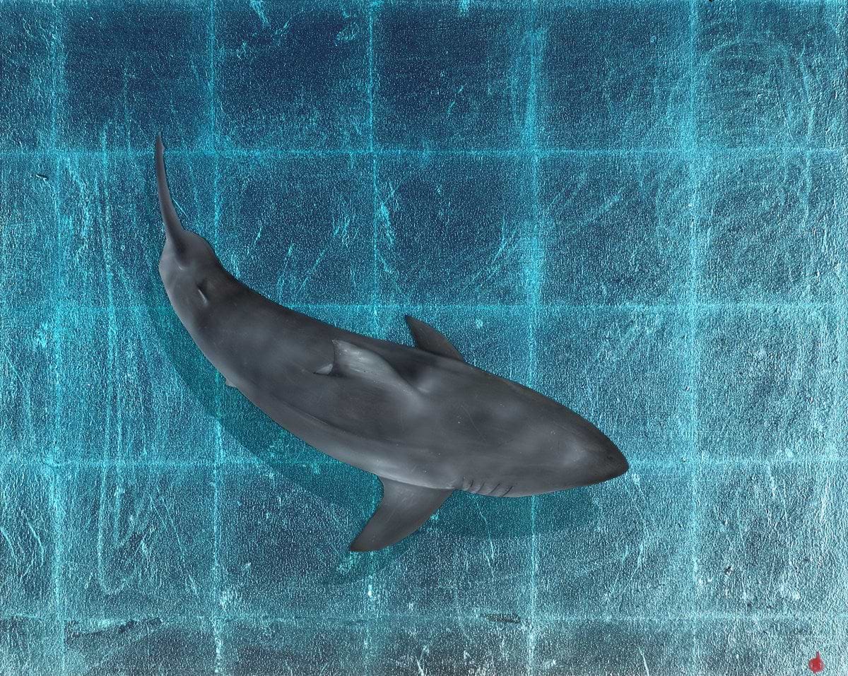 Shallow Patrol