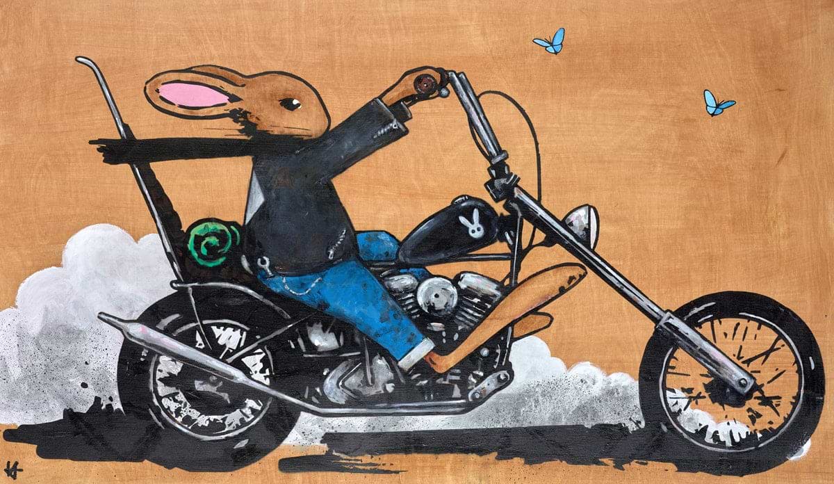 The Wild One ?