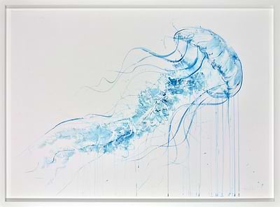 Jellyfish II