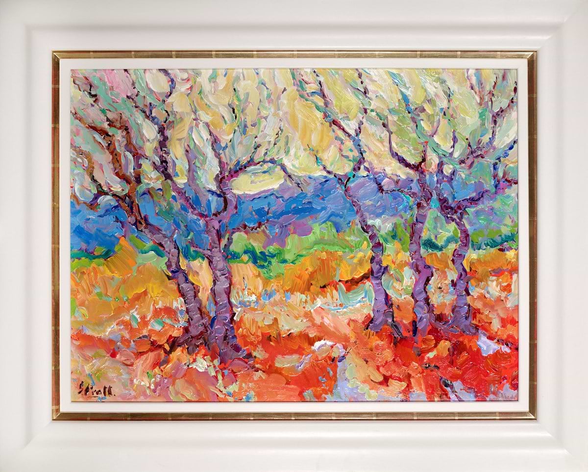Saint Romaine Olive Trees