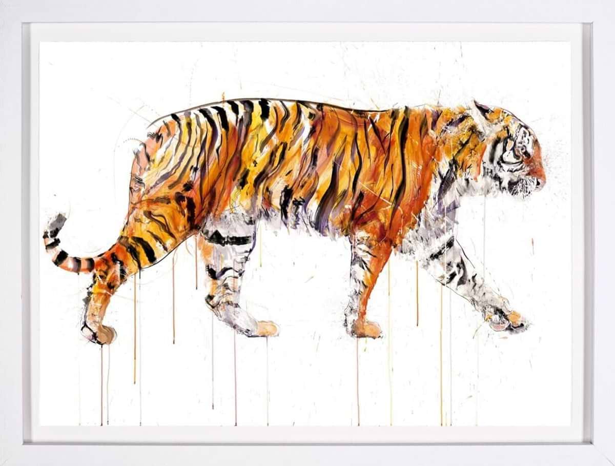 Sumatran Tiger 2022 (Framed)