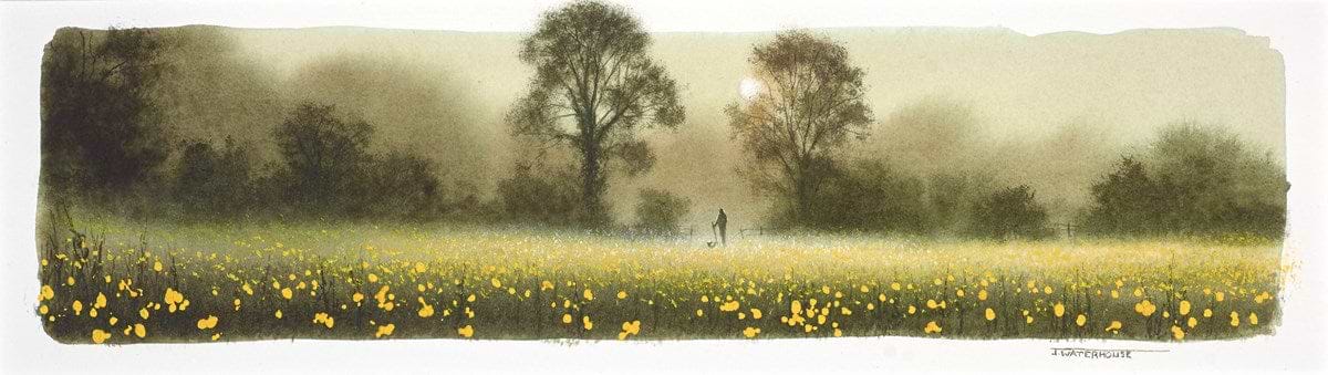 Walking Through Buttercups (study)