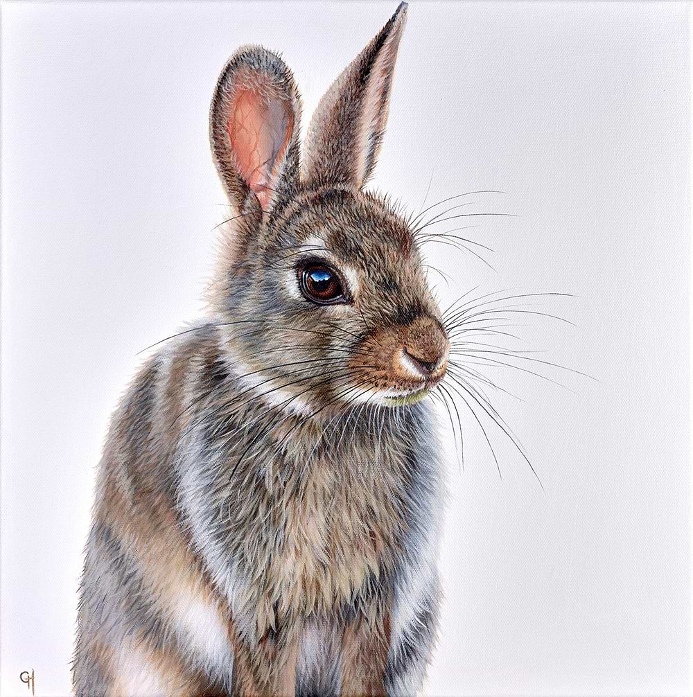 Hare