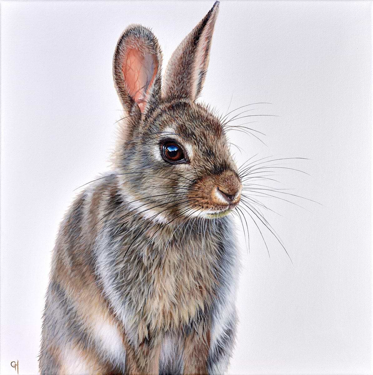 Hare
